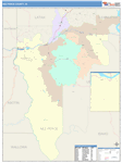 Nez Perce County Wall Map Color Cast Style